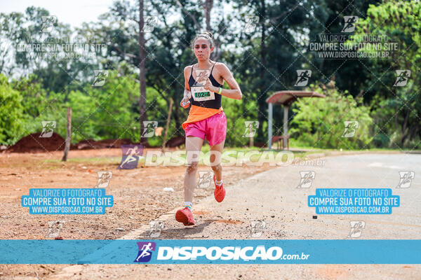 Eco Corrida 90k Londrina