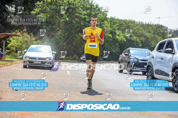 Eco Corrida 90k Londrina