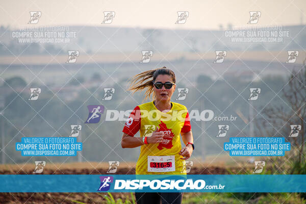 Eco Corrida 90k Londrina