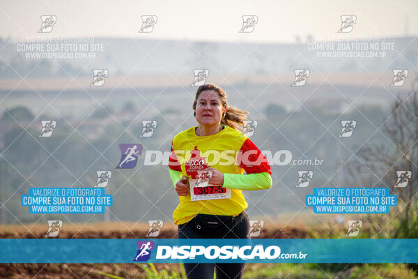 Eco Corrida 90k Londrina