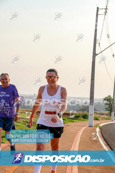 Eco Corrida 90k Londrina