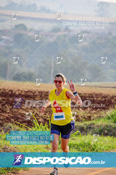 Eco Corrida 90k Londrina