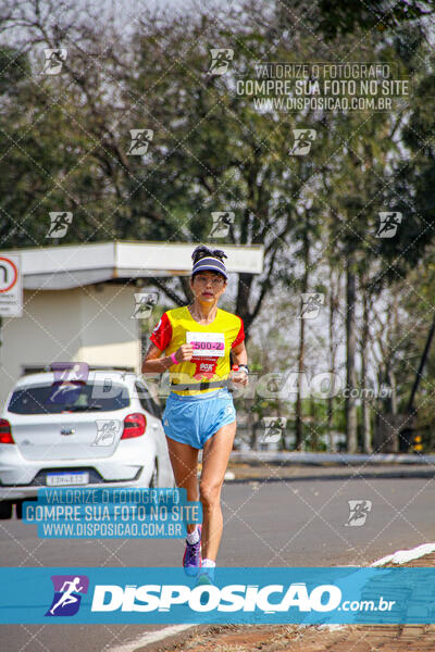 Eco Corrida 90k Londrina