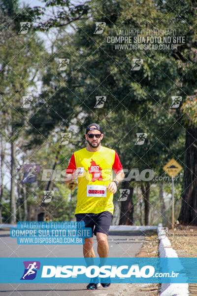 Eco Corrida 90k Londrina