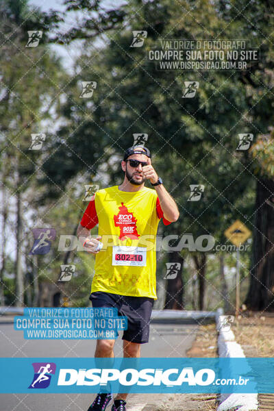 Eco Corrida 90k Londrina