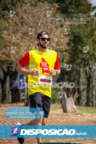 Eco Corrida 90k Londrina