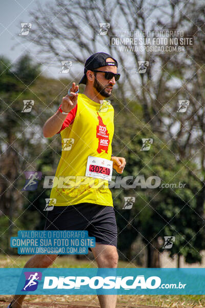 Eco Corrida 90k Londrina