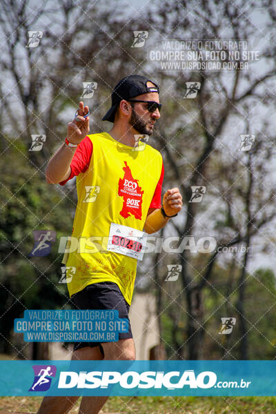 Eco Corrida 90k Londrina