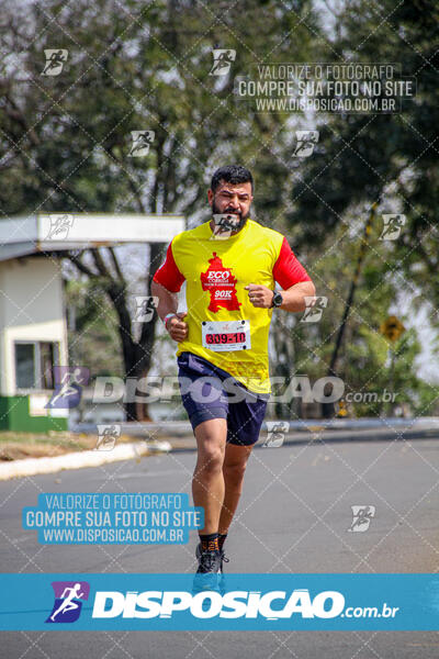 Eco Corrida 90k Londrina