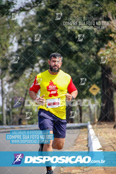 Eco Corrida 90k Londrina