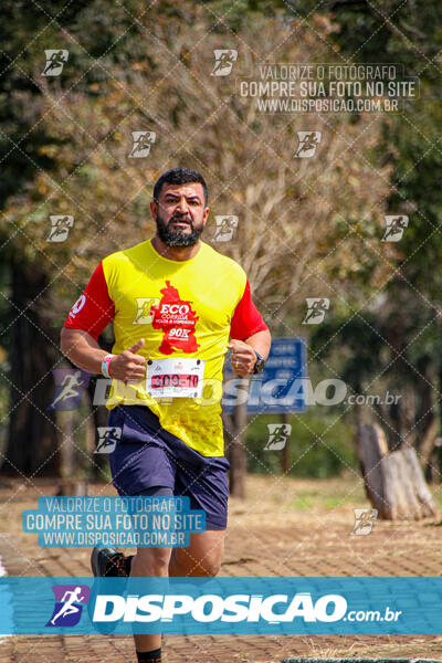 Eco Corrida 90k Londrina