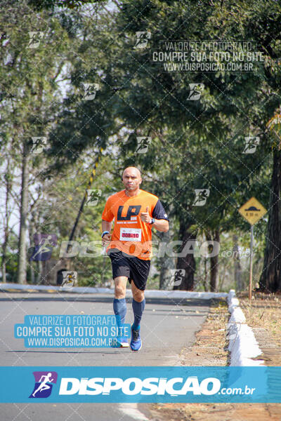 Eco Corrida 90k Londrina