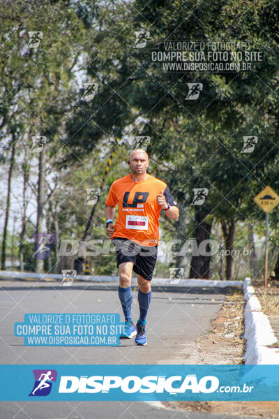 Eco Corrida 90k Londrina