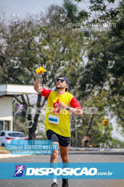 Eco Corrida 90k Londrina