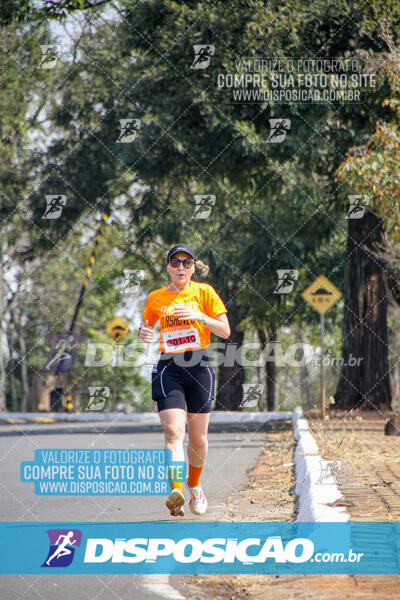 Eco Corrida 90k Londrina