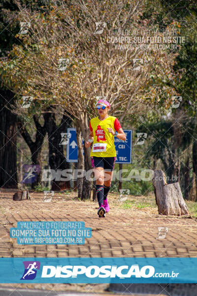 Eco Corrida 90k Londrina