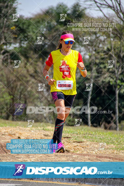 Eco Corrida 90k Londrina