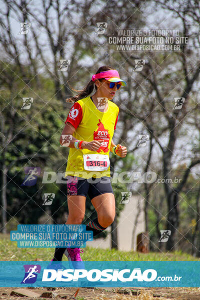 Eco Corrida 90k Londrina