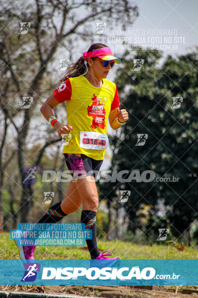 Eco Corrida 90k Londrina