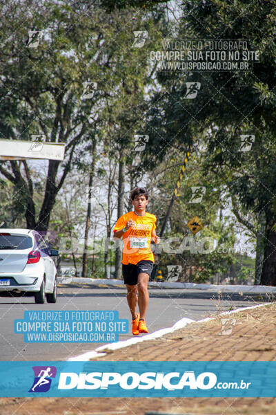 Eco Corrida 90k Londrina