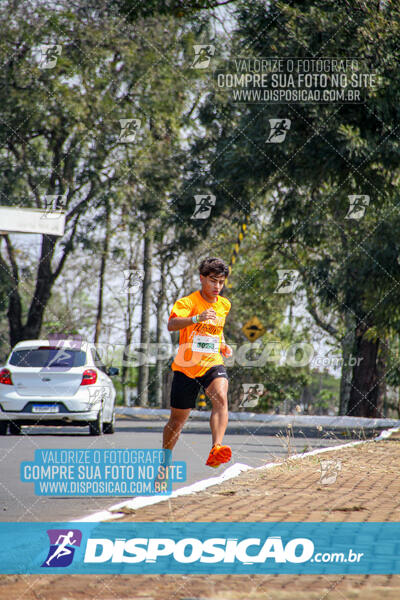 Eco Corrida 90k Londrina