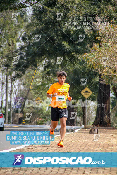 Eco Corrida 90k Londrina