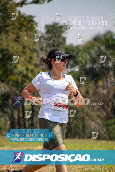 Eco Corrida 90k Londrina