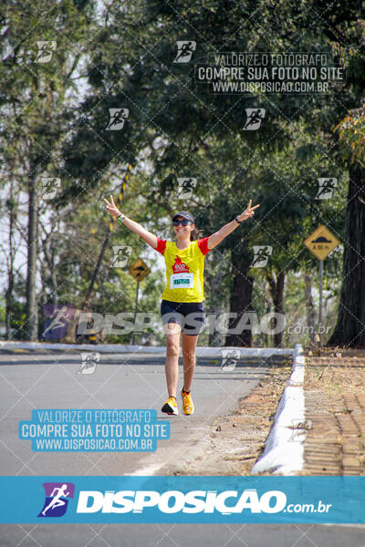 Eco Corrida 90k Londrina