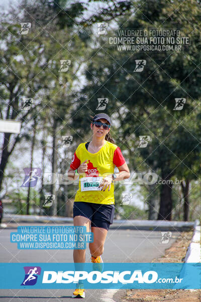 Eco Corrida 90k Londrina