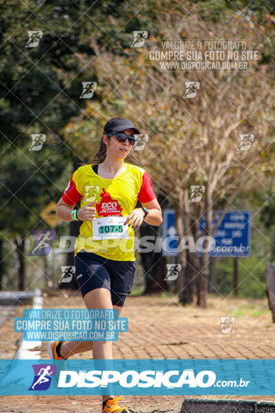 Eco Corrida 90k Londrina