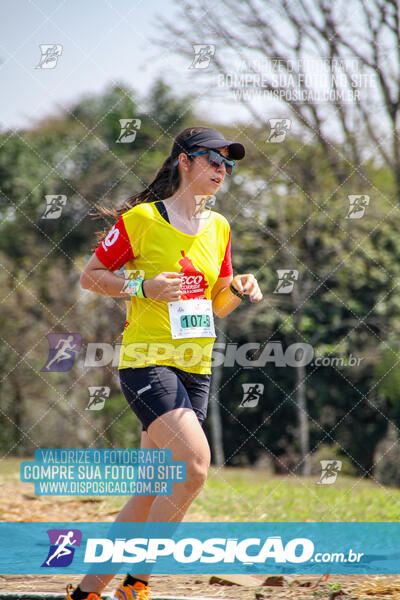 Eco Corrida 90k Londrina