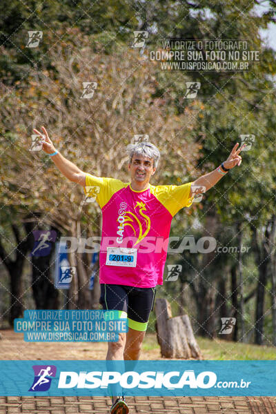 Eco Corrida 90k Londrina