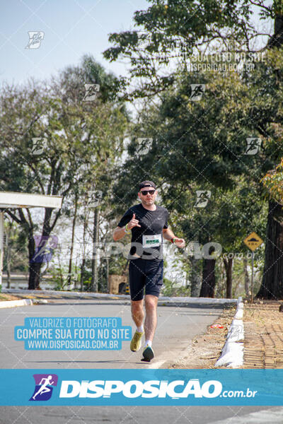 Eco Corrida 90k Londrina