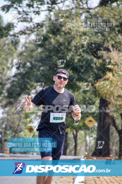 Eco Corrida 90k Londrina