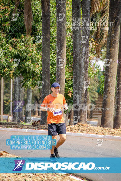 Eco Corrida 90k Londrina