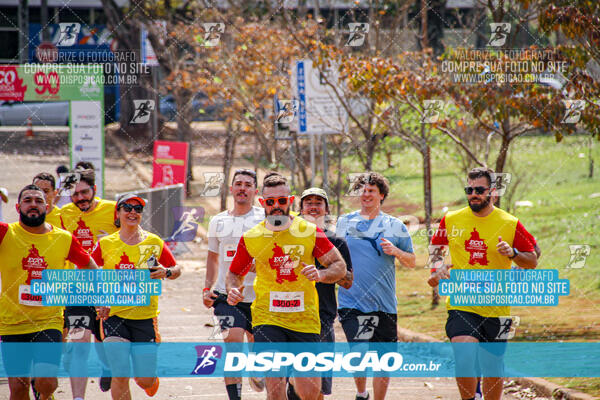 Eco Corrida 90k Londrina