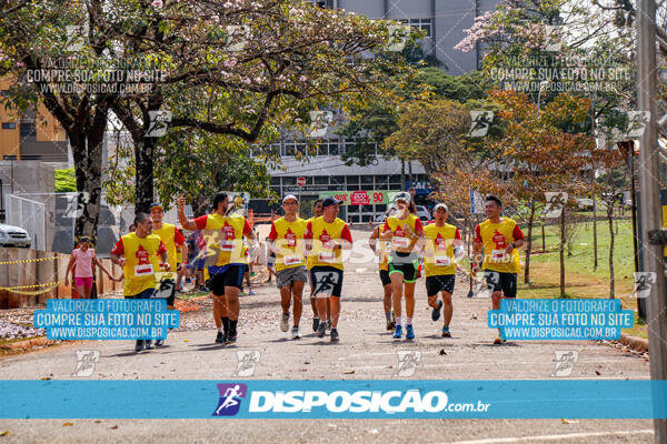 Eco Corrida 90k Londrina