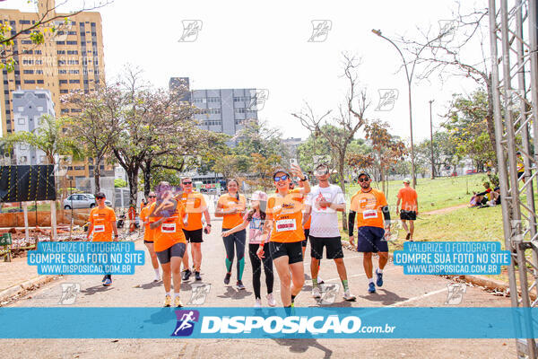 Eco Corrida 90k Londrina