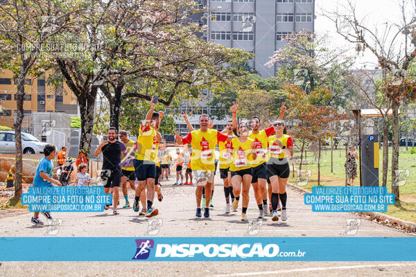 Eco Corrida 90k Londrina