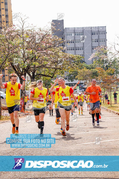 Eco Corrida 90k Londrina