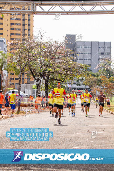 Eco Corrida 90k Londrina