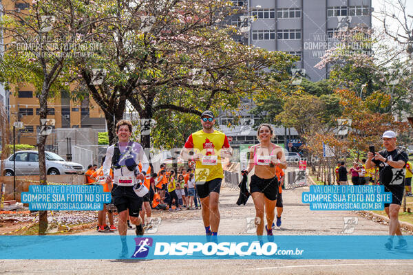 Eco Corrida 90k Londrina