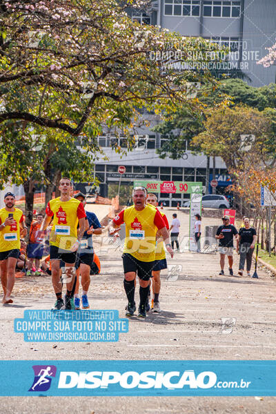 Eco Corrida 90k Londrina