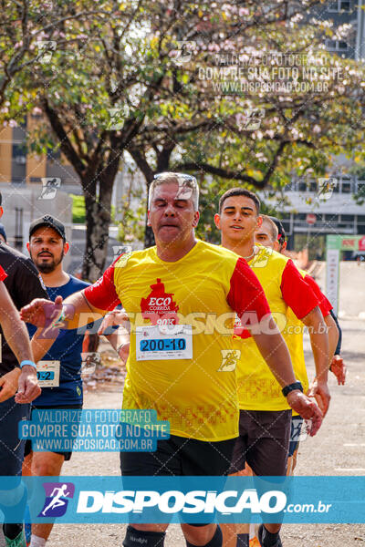 Eco Corrida 90k Londrina