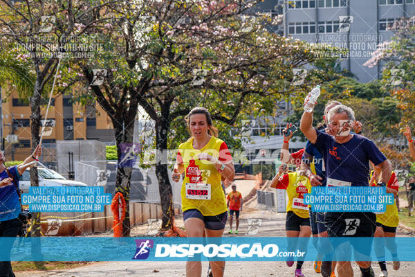 Eco Corrida 90k Londrina