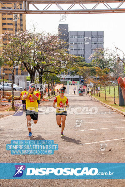 Eco Corrida 90k Londrina