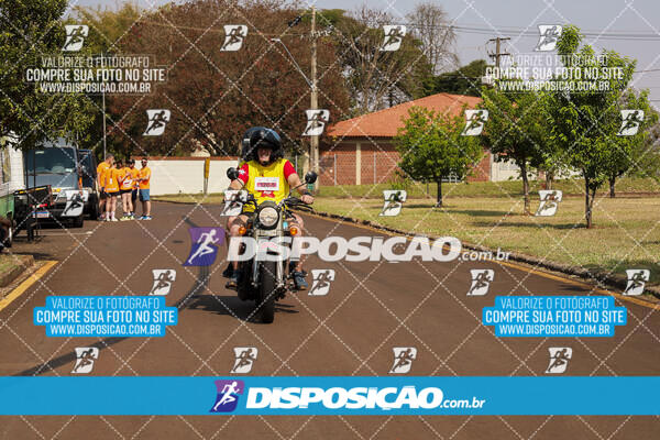 Eco Corrida 90k Londrina