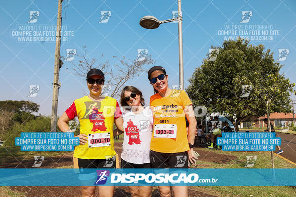 Eco Corrida 90k Londrina