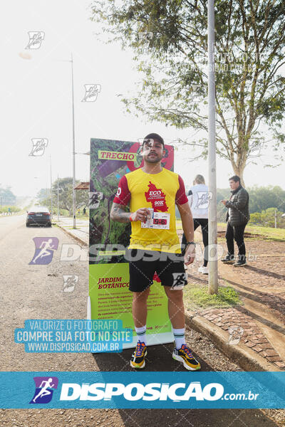 Eco Corrida 90k Londrina