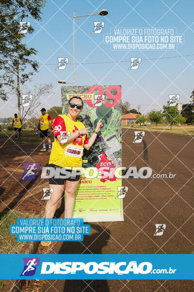 Eco Corrida 90k Londrina